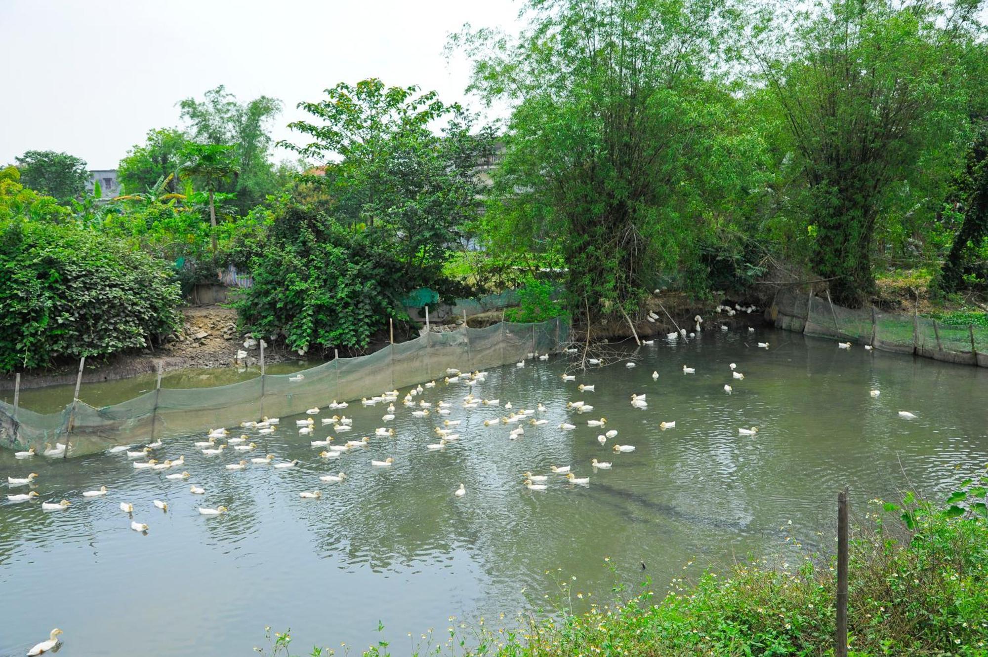 Hoang Giang Homestay Ninh Binh Eksteriør billede